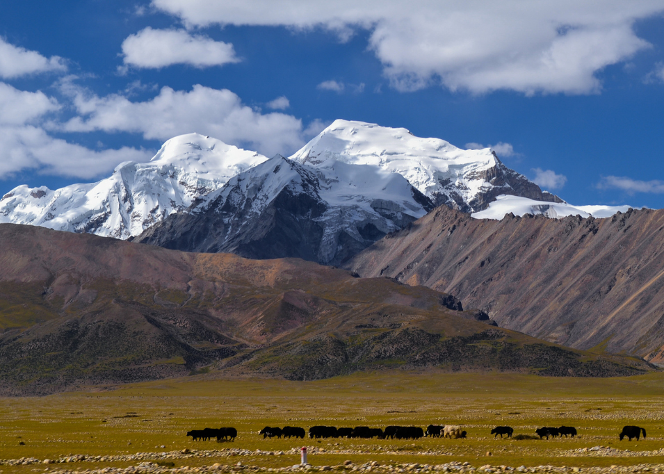 Himalayas and grasslands